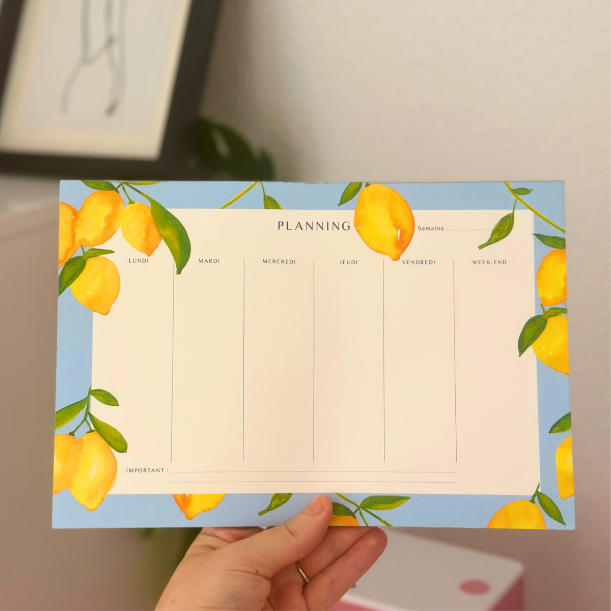 Semainier citrons