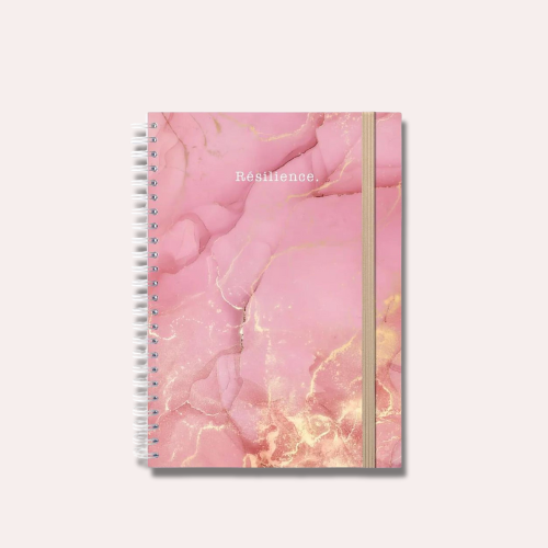 Notebook - Resilience
