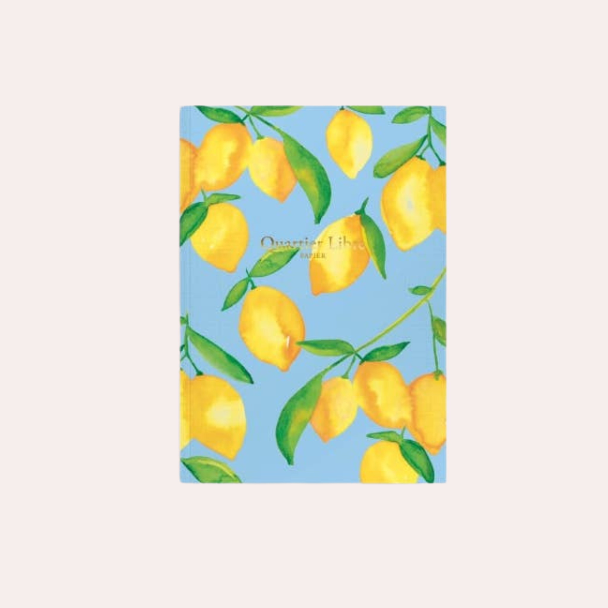 Petit carnet citrons