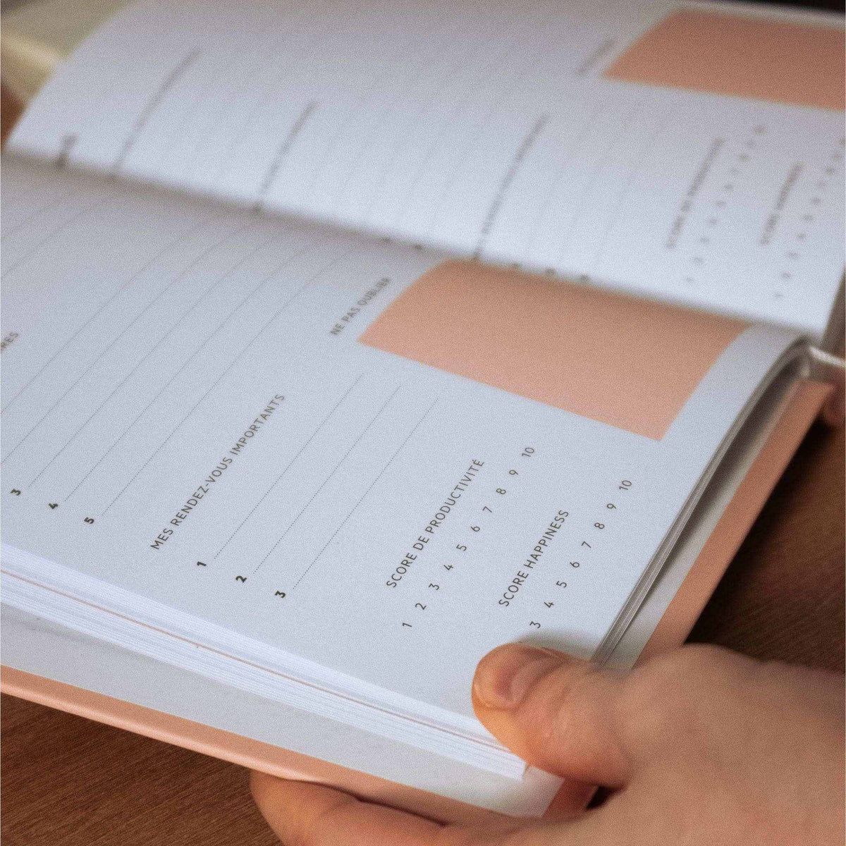 Covene Planner focus -Girlboss Store