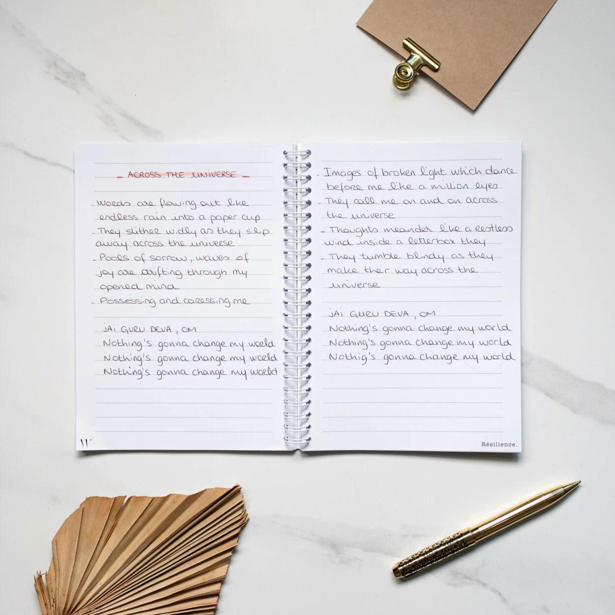 Notebook - Resilience